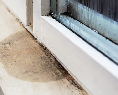 Moisture Intrusion Inspections